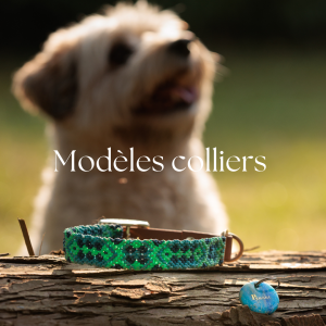 Modèles de colliers disponibles