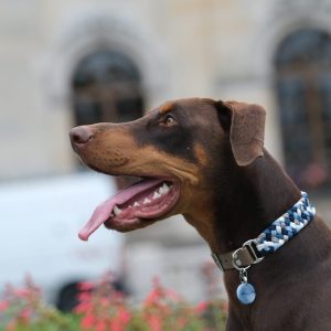 WhatsApp Image 2025 07 01 at 14.34.10 1 e1766863164280