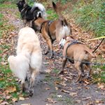 WhatsApp Image 2025-11-15 at 12.05.20 (1)