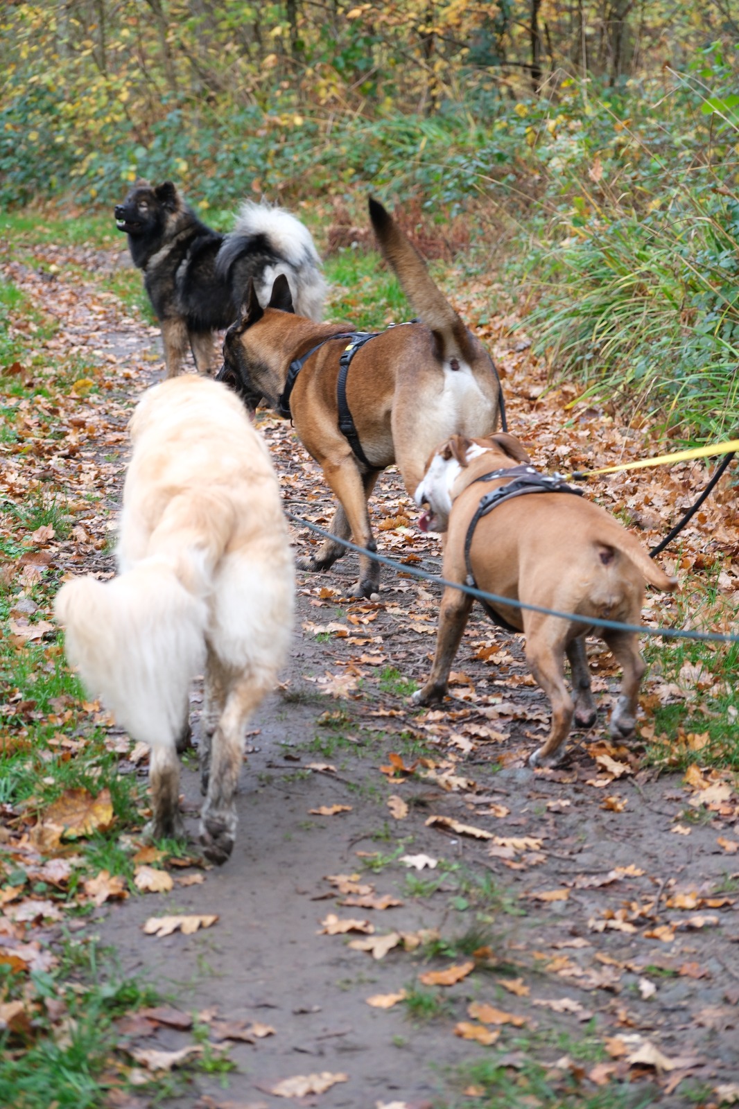 WhatsApp Image 2025-11-15 at 12.05.20 (1)