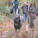 WhatsApp Image 2025-11-15 at 12.05.20