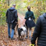 WhatsApp Image 2025-11-15 at 12.05.20 (3)