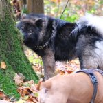 WhatsApp Image 2025-11-15 at 12.05.20 (4)