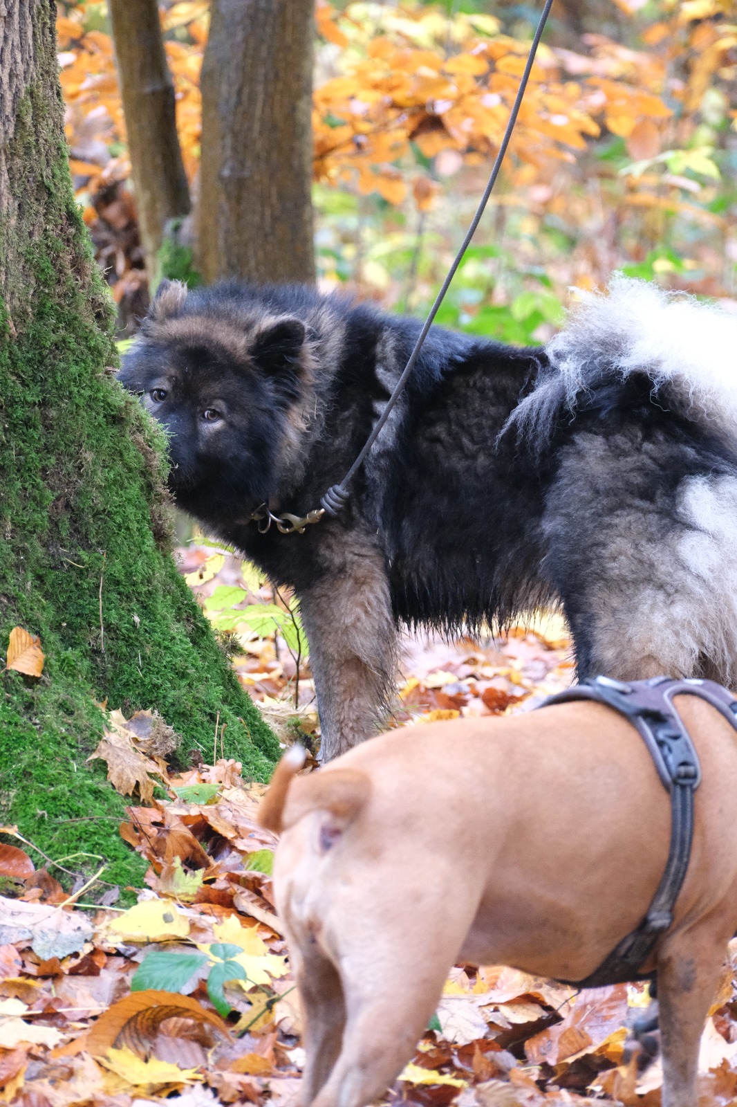 WhatsApp Image 2025-11-15 at 12.05.20 (4)