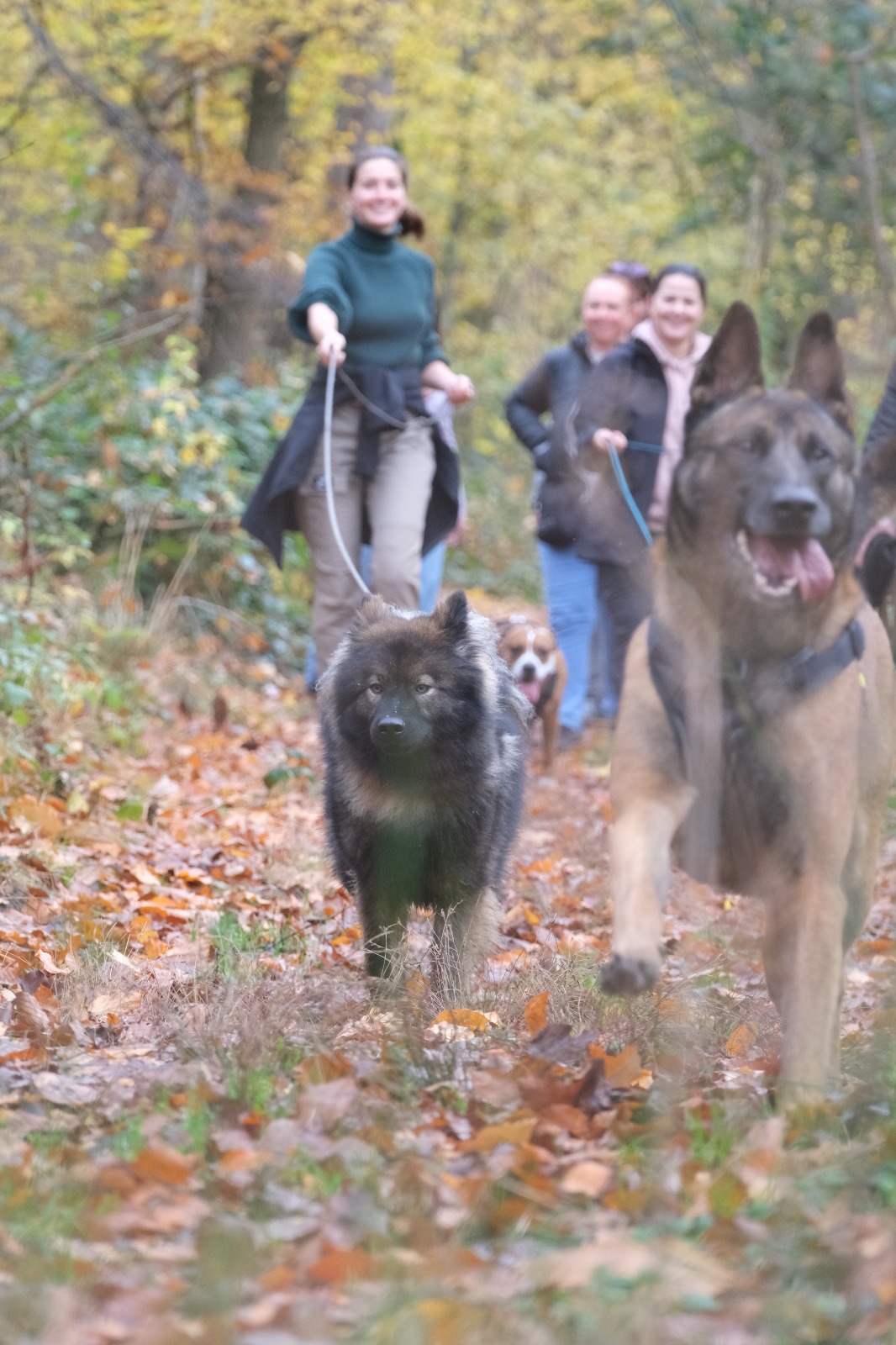 WhatsApp Image 2025-11-15 at 12.05.20