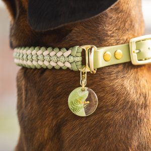 Collier Darshan
