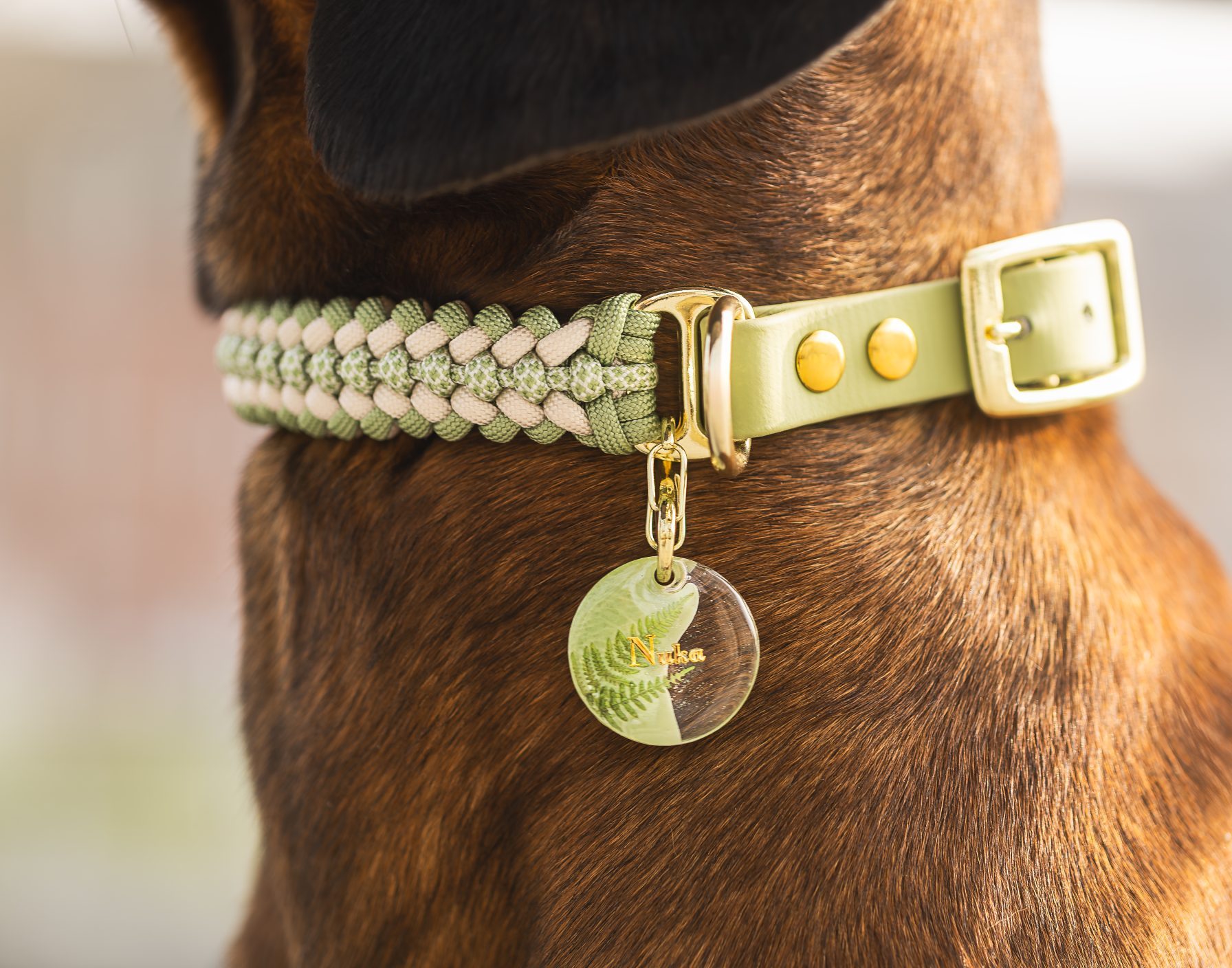Collier Darshan