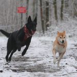 7ee16566-e244-4e37-a8a2-f60d0a3b38ee