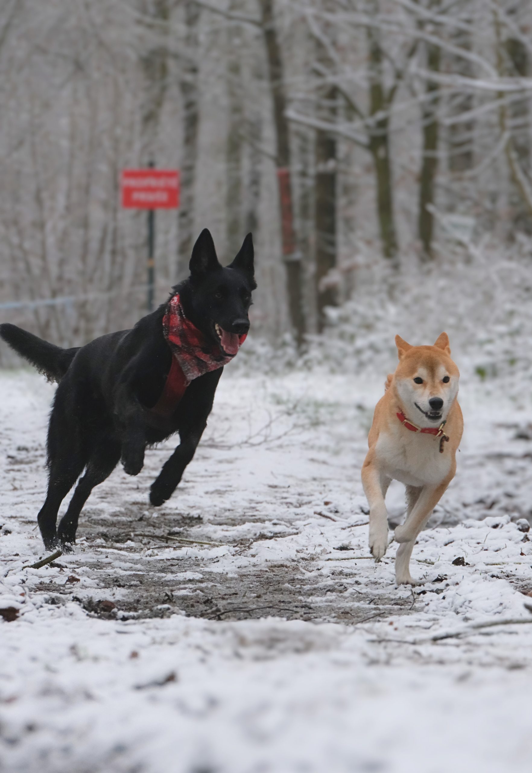 7ee16566-e244-4e37-a8a2-f60d0a3b38ee