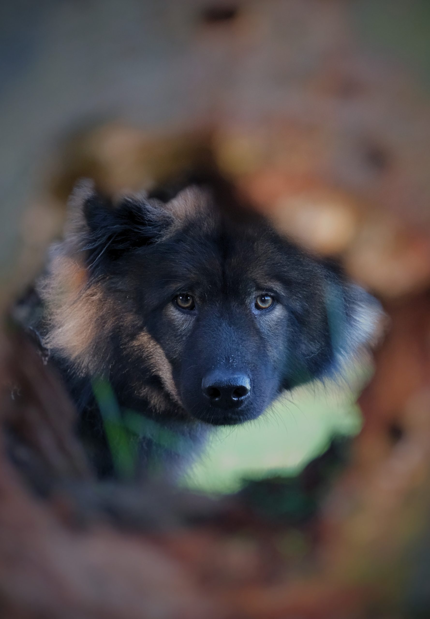 96c898fe-e115-41be-a451-c94ce9f1ecd5 (1)