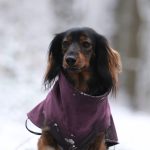 c3cd8971-5bd4-4759-960a-c483d697b207