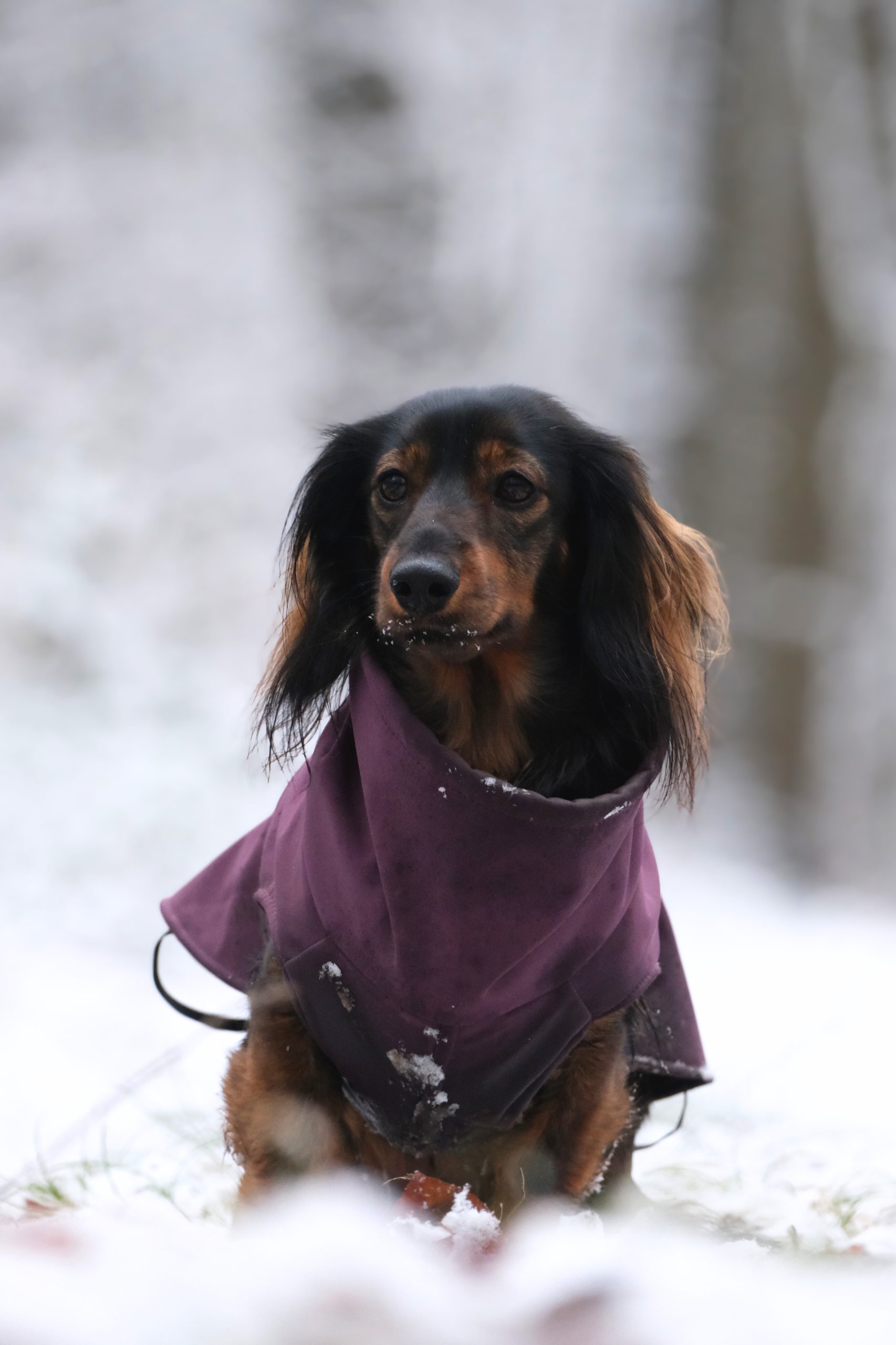 c3cd8971-5bd4-4759-960a-c483d697b207