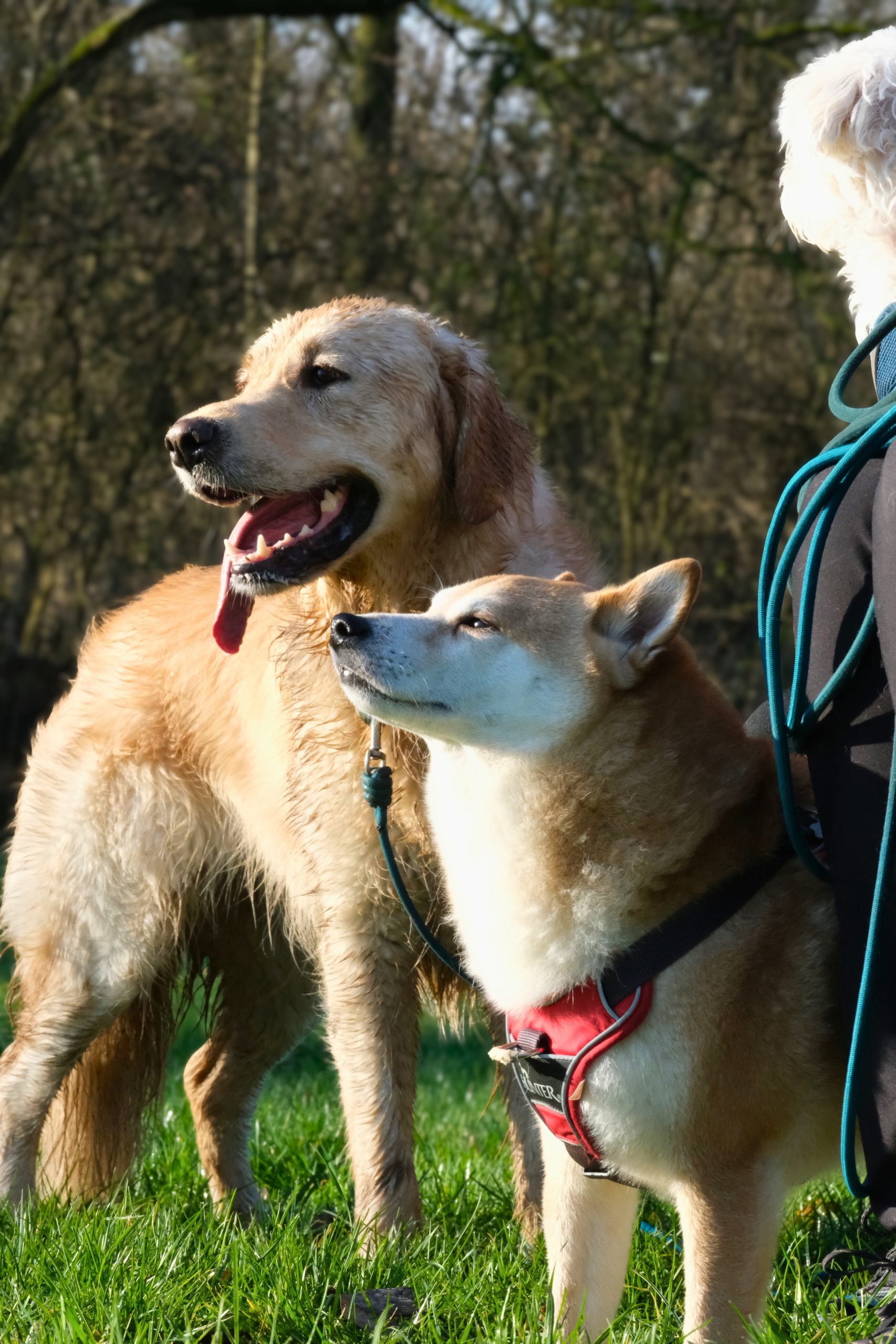 cc264175-3081-4353-88ef-5e93f204f3d5