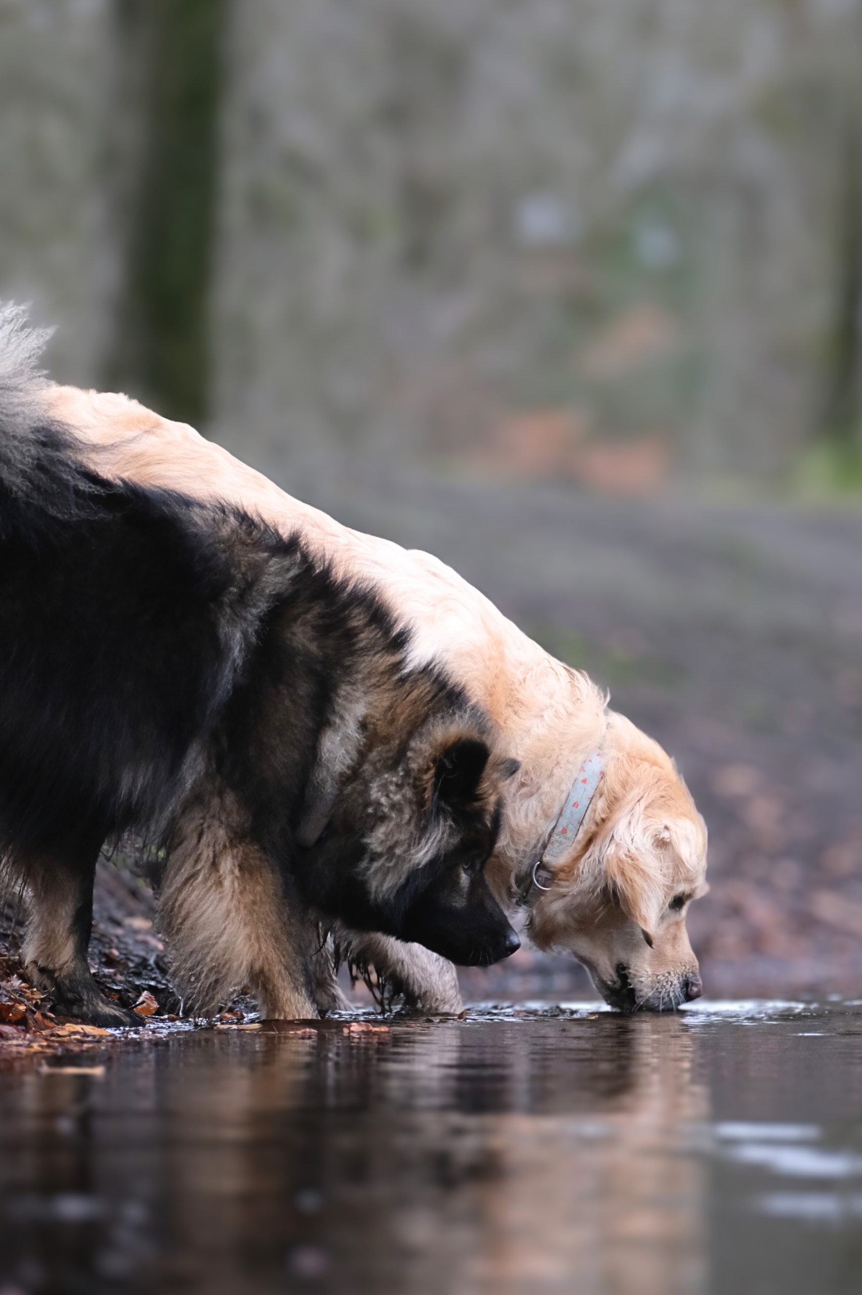 9895abe3-8510-422c-a6ae-7a3e7ba4f5d6