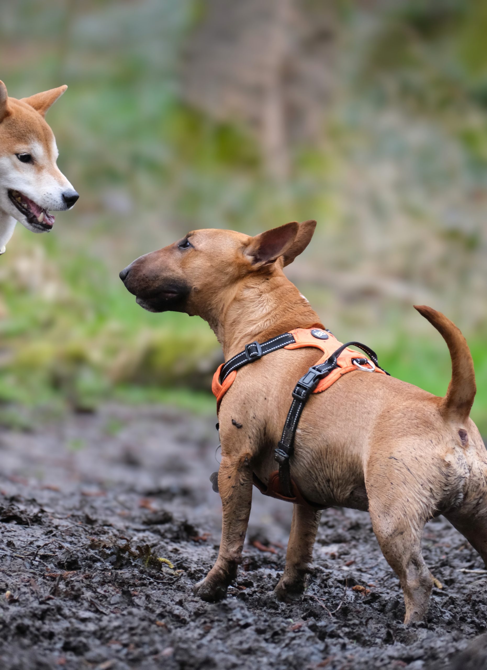 d8172f7d-d060-4f66-b68d-3dfbaa01d795