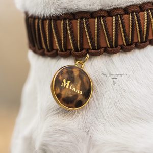 Médaille Léo