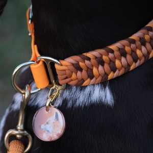 Médaille Fox